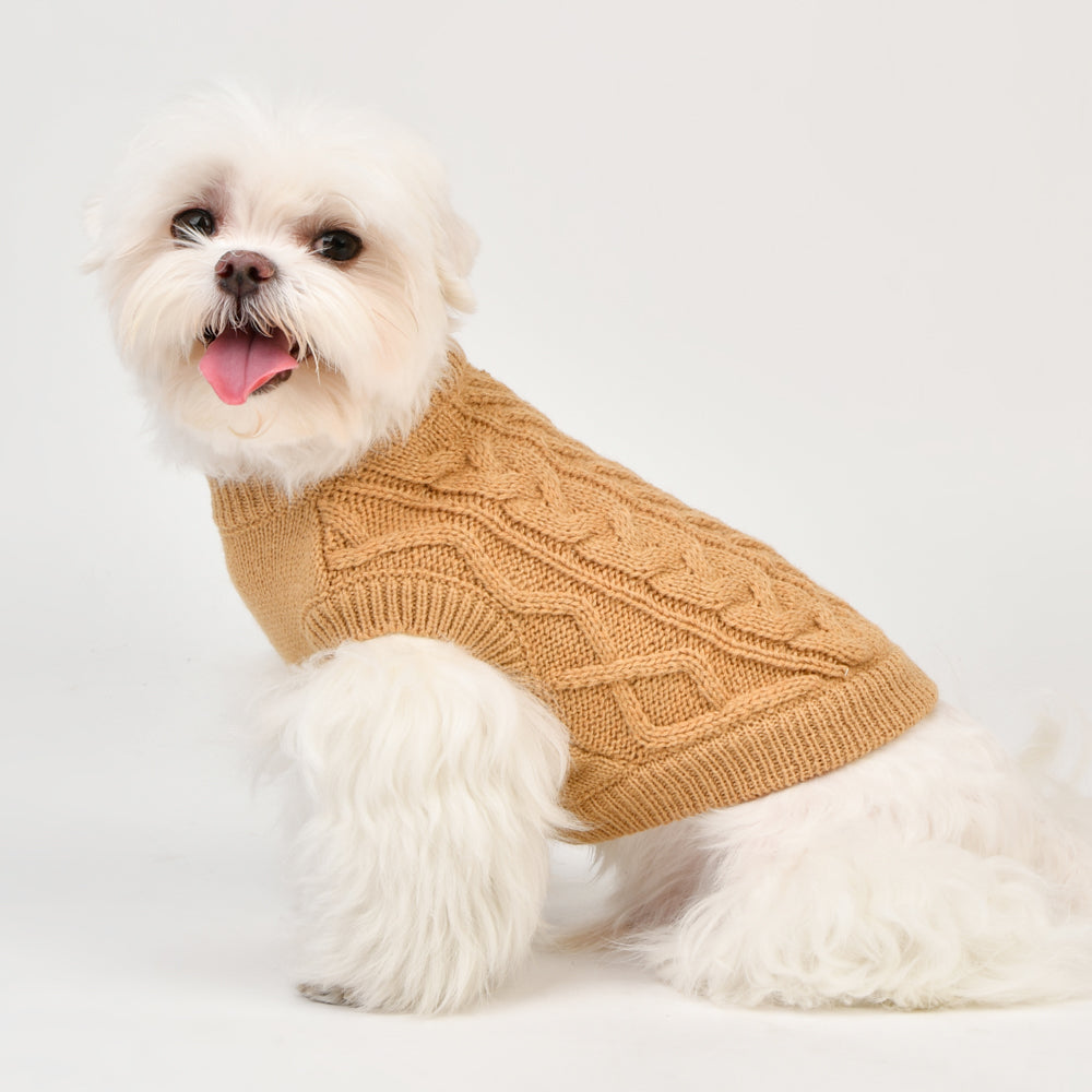 Sueter de punto diseño trenzado elegante calido para perritos 