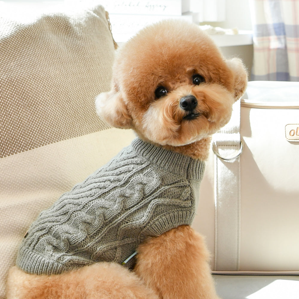 Sueter punto diseño trenzado elegante versatil calentito perro pequeño