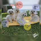 Pañal Peto-braga Orgánico braguitas sanitarias pollito 
