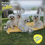 Pañal Orgánico Reutilizable para Perro Macho