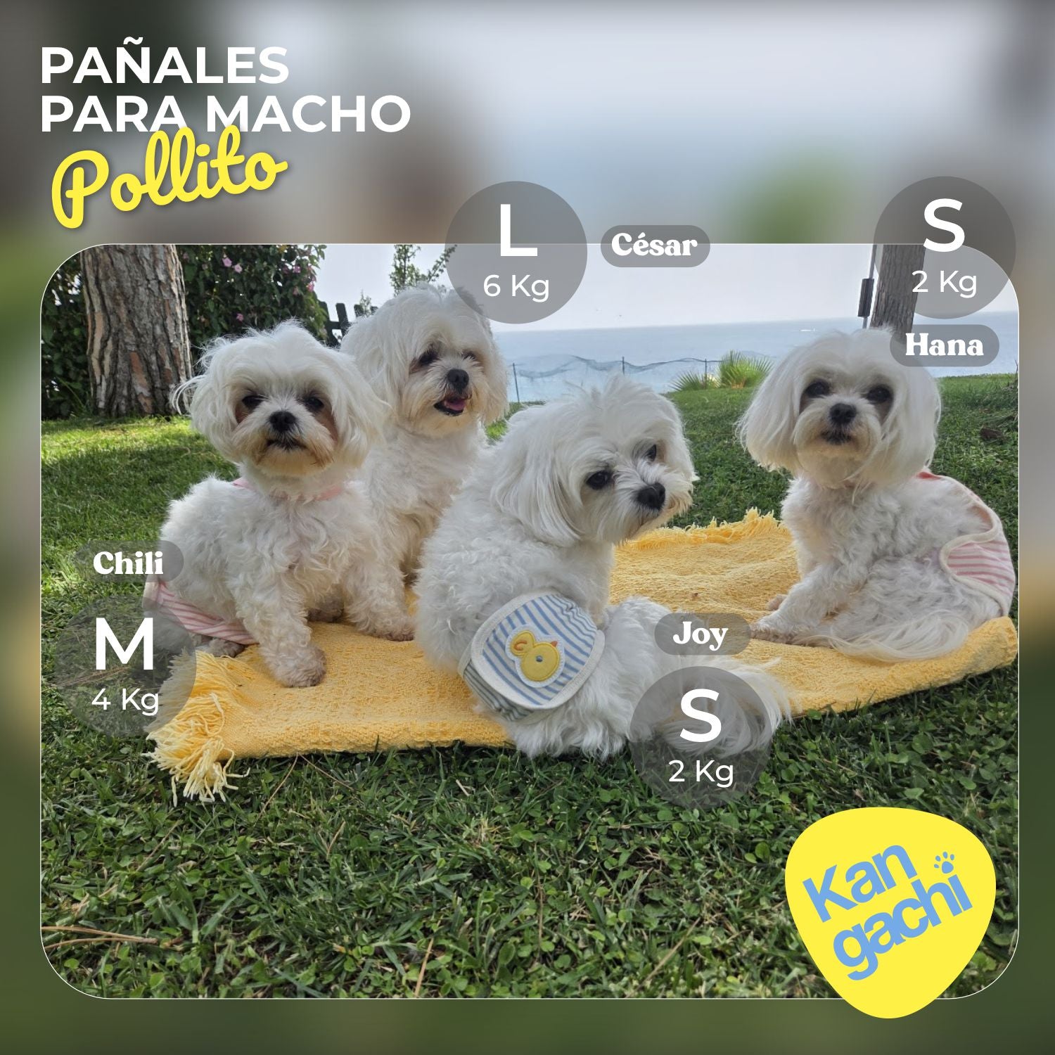 Pañal Orgánico Reutilizable para Perro Macho