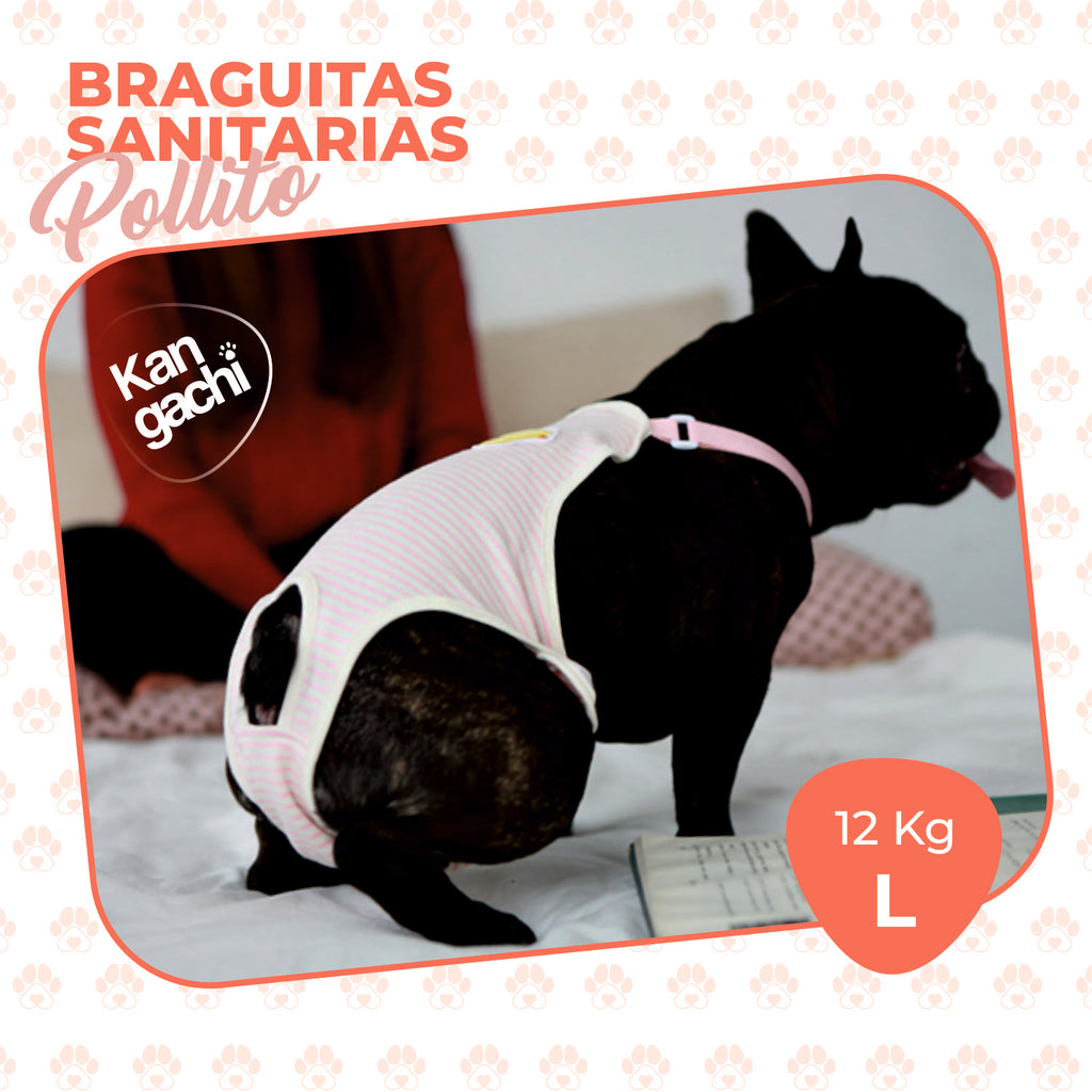 Pañal Braguita Orgánico Reutilizable para Perra