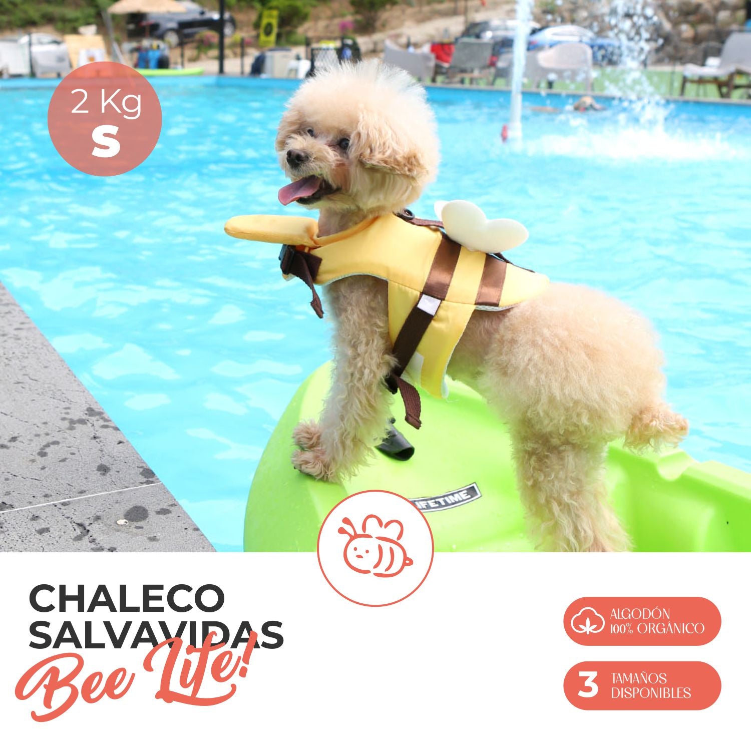 Chaleco Salvavidas Abeja Guardiana con Asa de Rescate para Perro