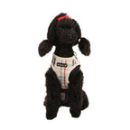 Arnés de Cuadros Junior B Puppia para Perro