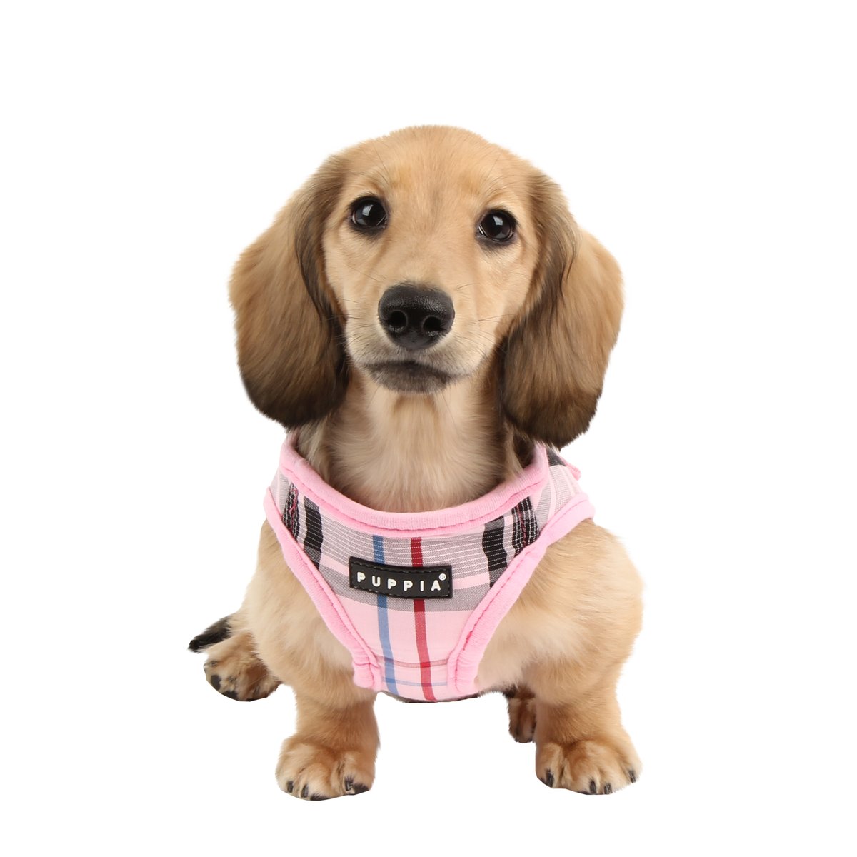 Arnés de Cuadros Junior B Puppia para Perro