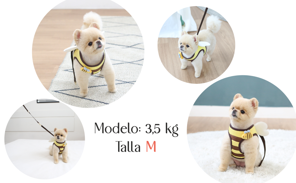 arnes chaleco abeja perro pequeño 