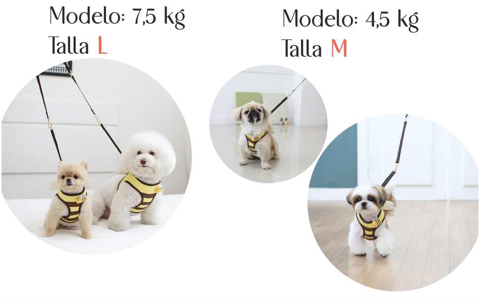 arnes chaleco abeja perro pequeño 