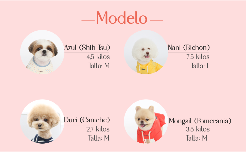 arnes chaleco abeja perro pequeño 