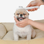 Cepillo de Púas Flexibles para Perro con Piel Sensible