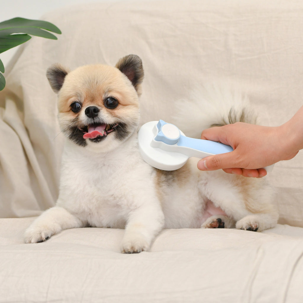 Cepillo de Púas Flexibles para Perro con Piel Sensible