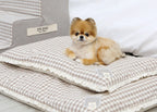 Cama Rectangular Estilo Vichy con Volantes para Perro