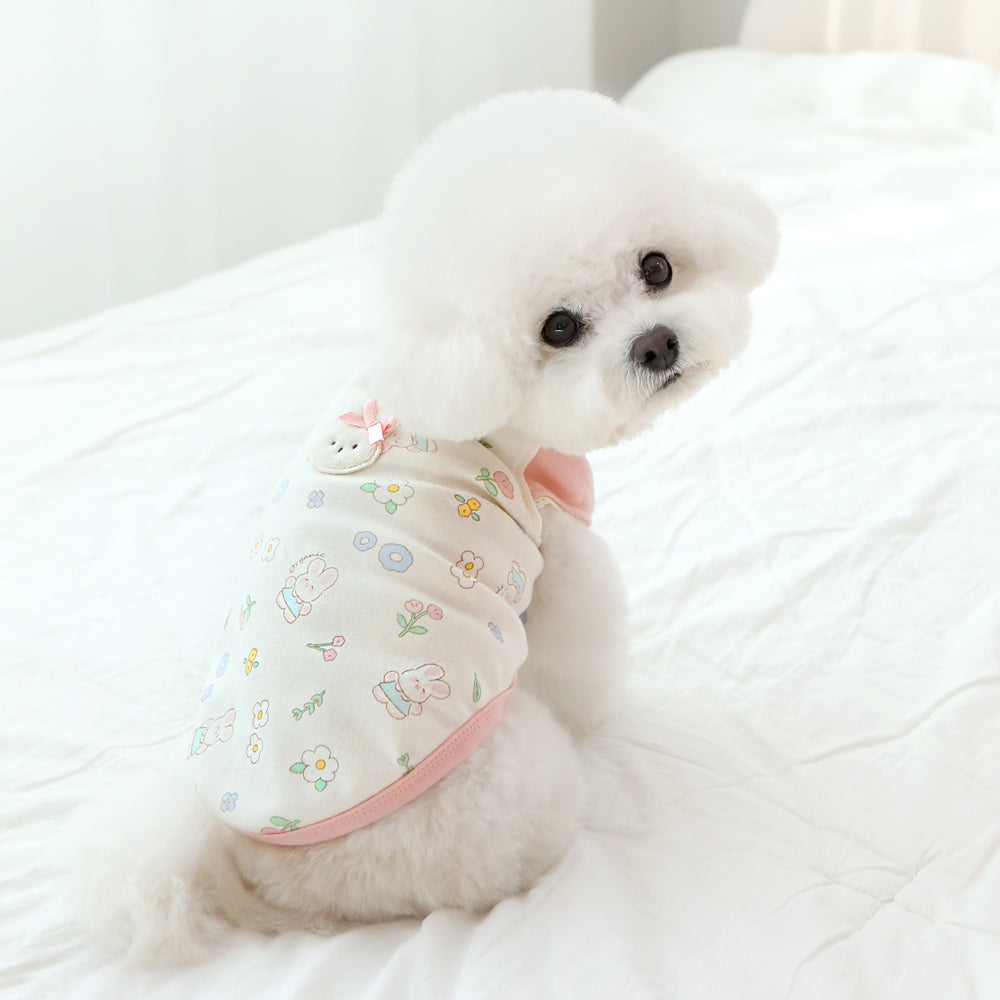 camiseta algodon organico conejo conejito perro pequeño 