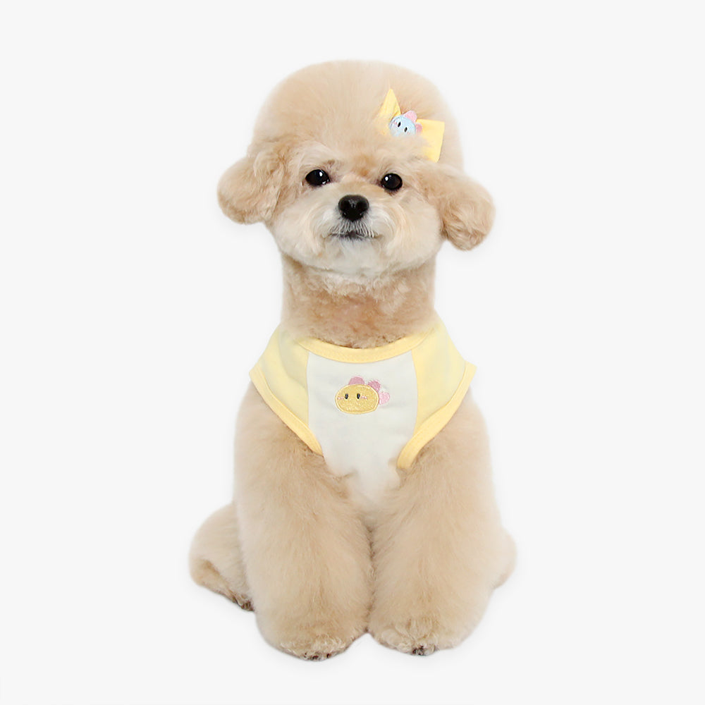 camiseta algodon organico dino dinosaurio perro pequeño