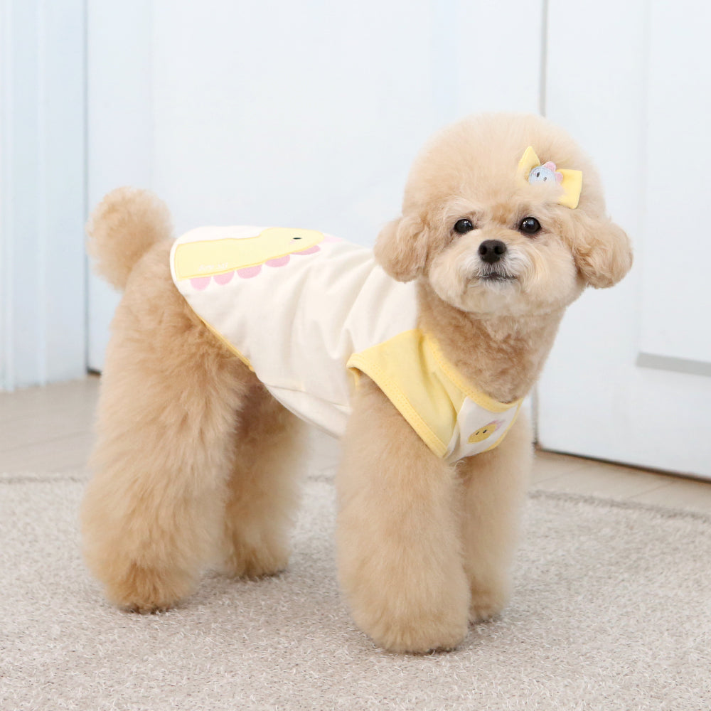 camiseta algodon organico dino dinosaurio perro pequeño