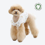camiseta con volantes algodon organico perro pequeño 