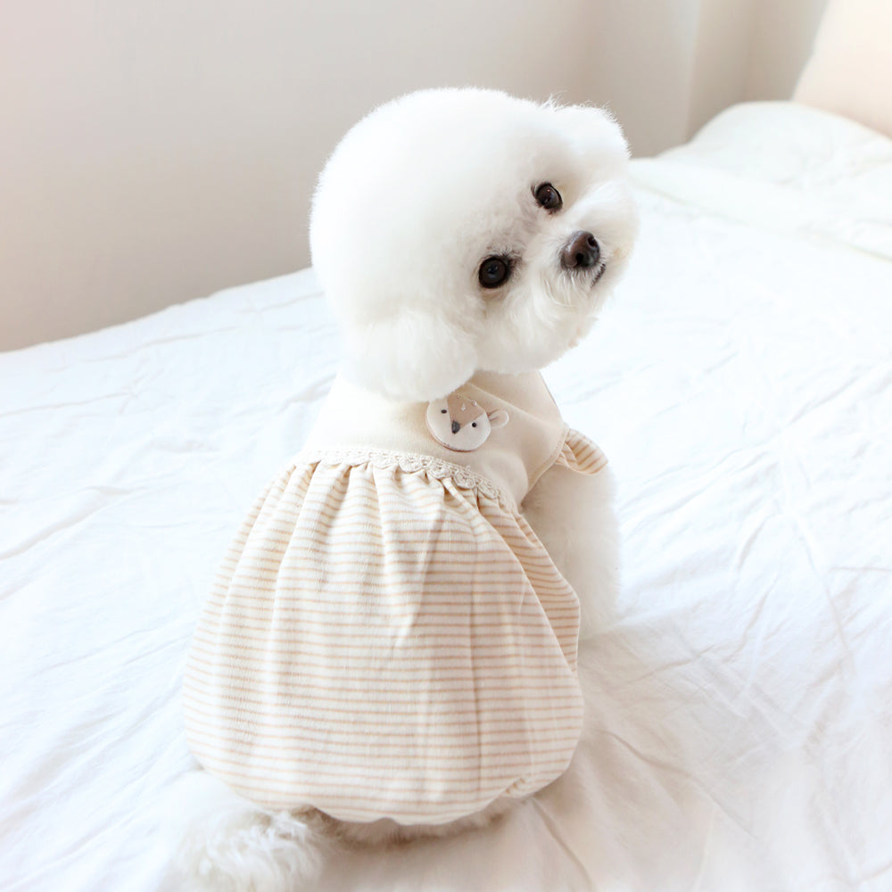 camiseta vestido algodon organico perro pequeño 