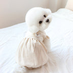 camiseta vestido algodon organico perro pequeño 