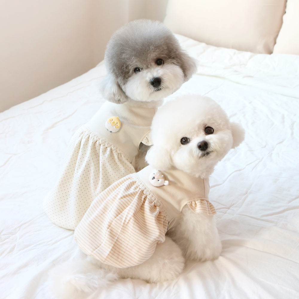 camiseta vestido algodon organico perro pequeño 