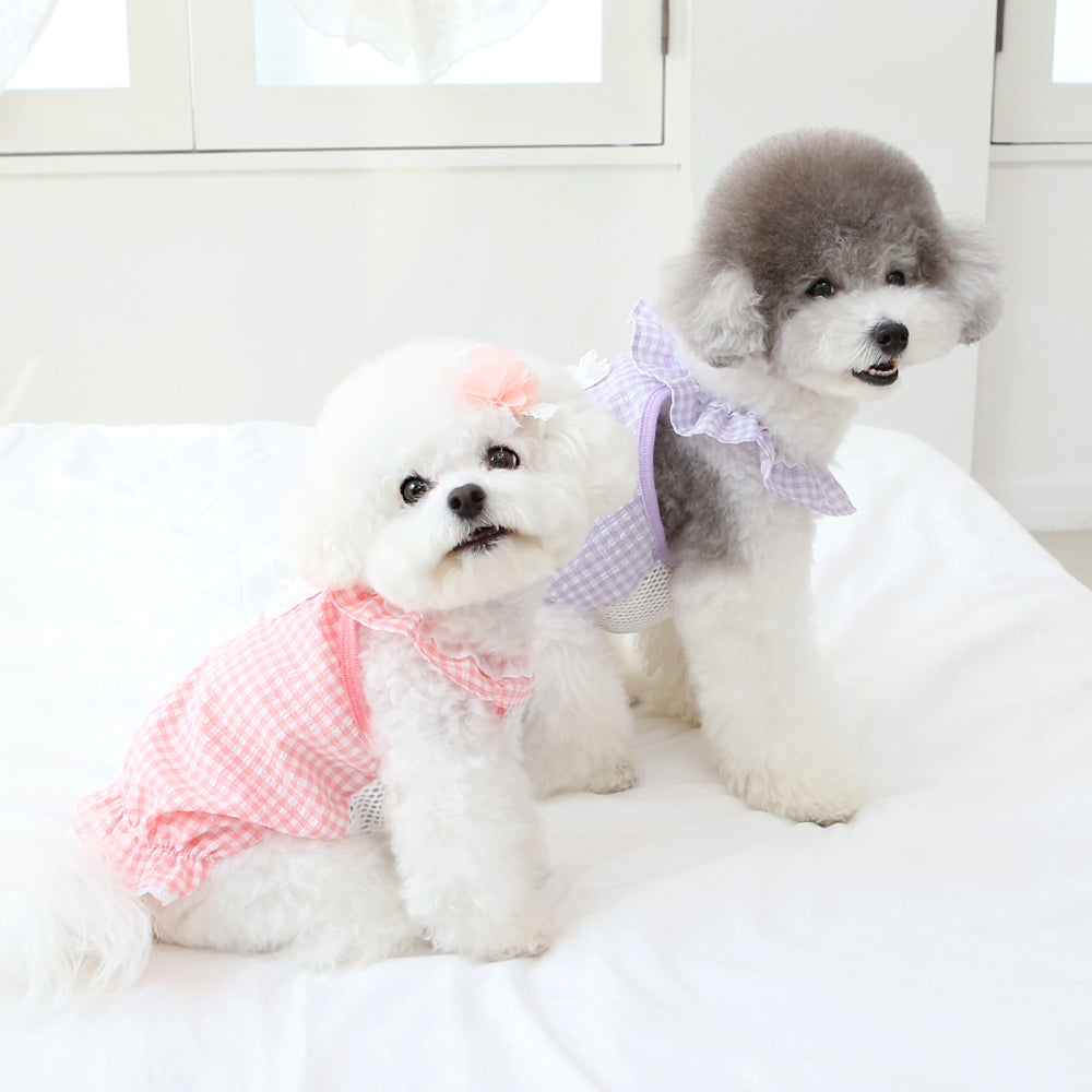 camiseta vestido con volantes perro pequeño