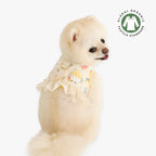 chaleco arnes con pollito y volante organico perro pequeño 