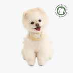 chaleco arnes con pollito y volante organico perro pequeño 