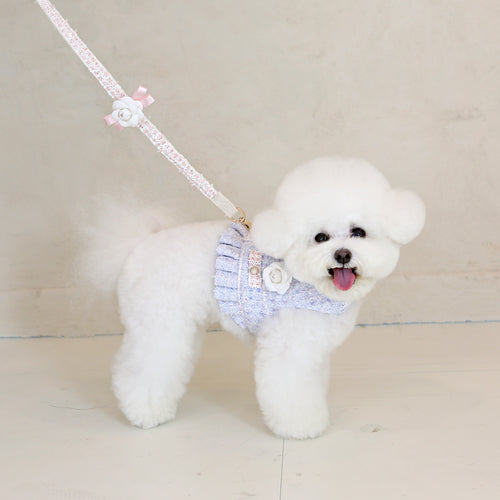 chaleco arnes elegante premium perro pequeño azul lila