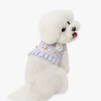 chaleco arnes elegante premium perro pequeño azul lila
