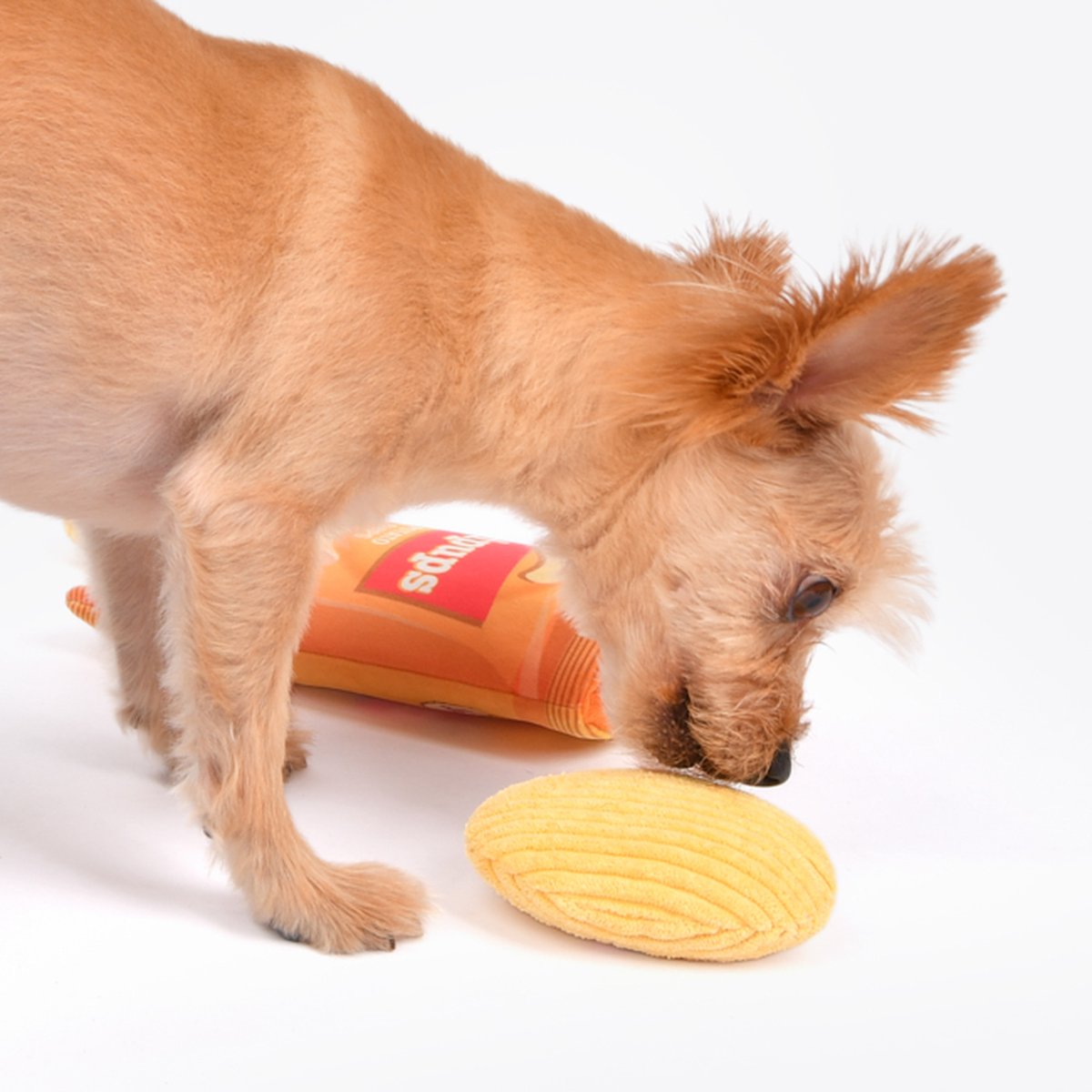 Juguete Olfativo Doklitos Nachos Olchi para Perro