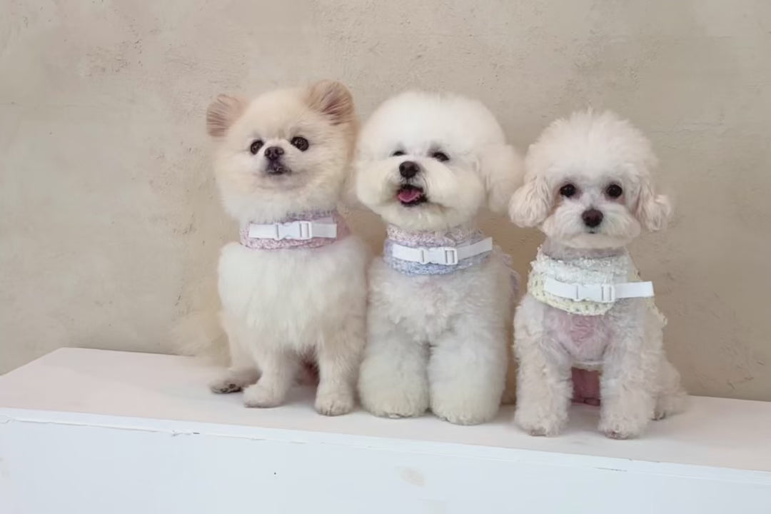 Arnés Chloe Tweed de Lana con Hilos Dorados para Perro